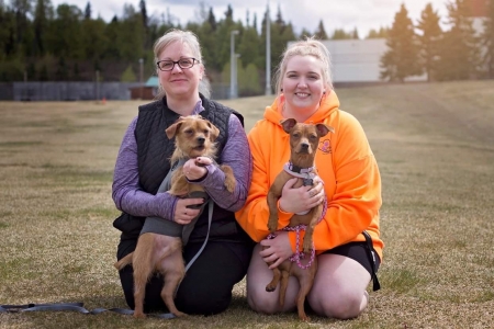 Kenai Peninsula Animal Lovers Rescue | Our mission is to provide a safe  environment for stray, surrendered, lost, abused, neglected or abandoned  animals through a network of caring fosters and volunteers with